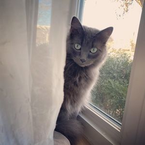 Meet your Posher, Corinne